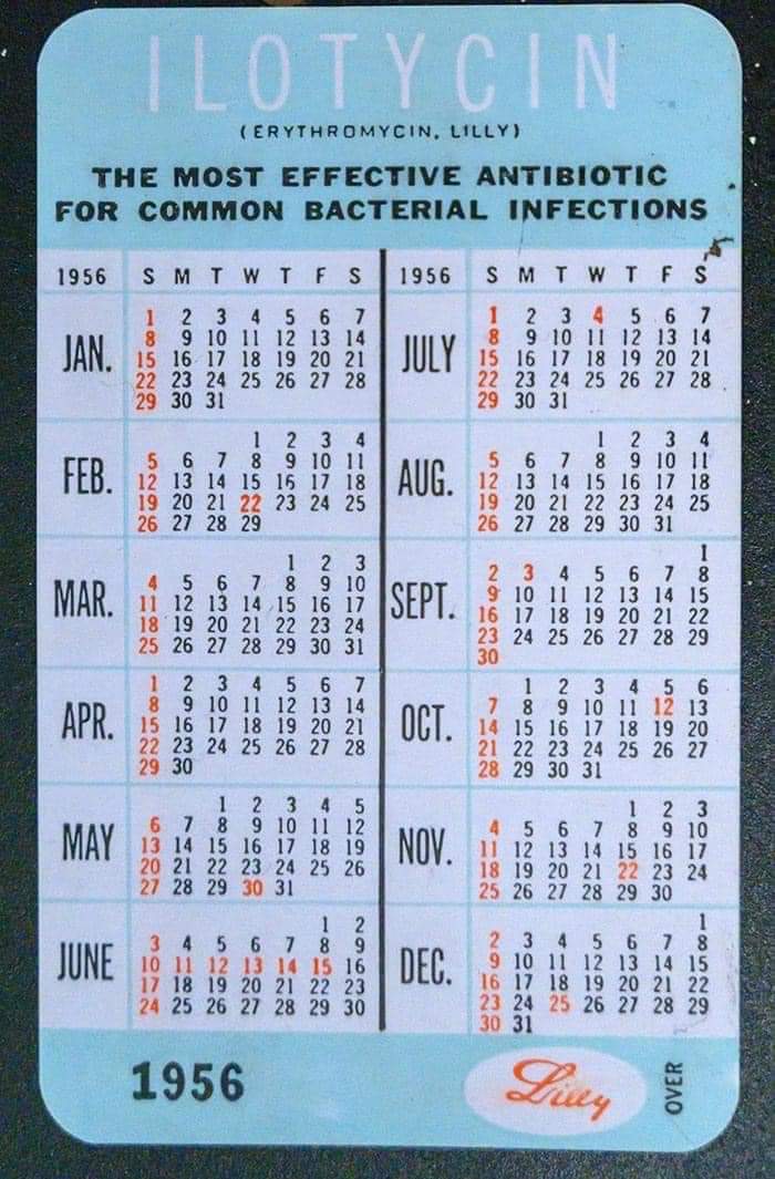 FB_IMG_1665675897131