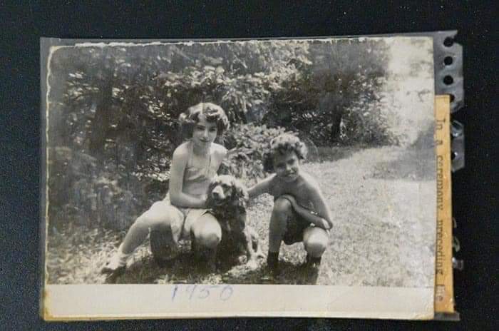 FB_IMG_1665675918310