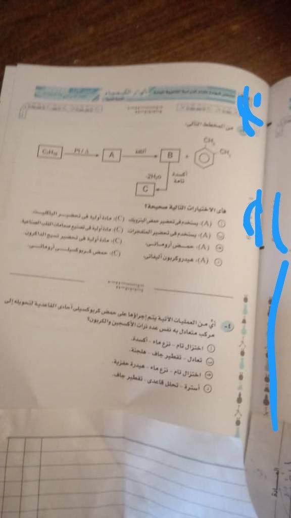 356480479_554974376833515_6845981156371125947_n