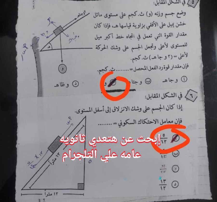 358006613_632086905650002_280923452873285858_n