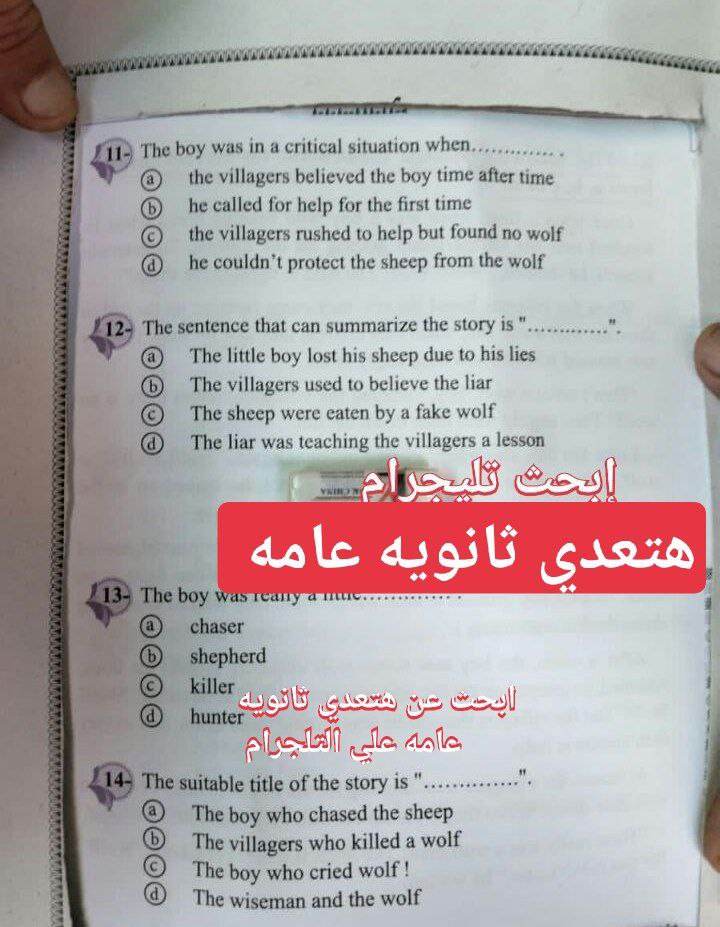 358249487_2566668700148484_1238561961937937147_n