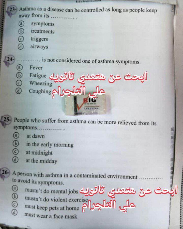 358509483_1026268718545358_3835564146514140606_n