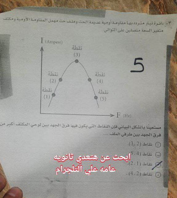 354117303_239807835516739_1158154761641809119_n