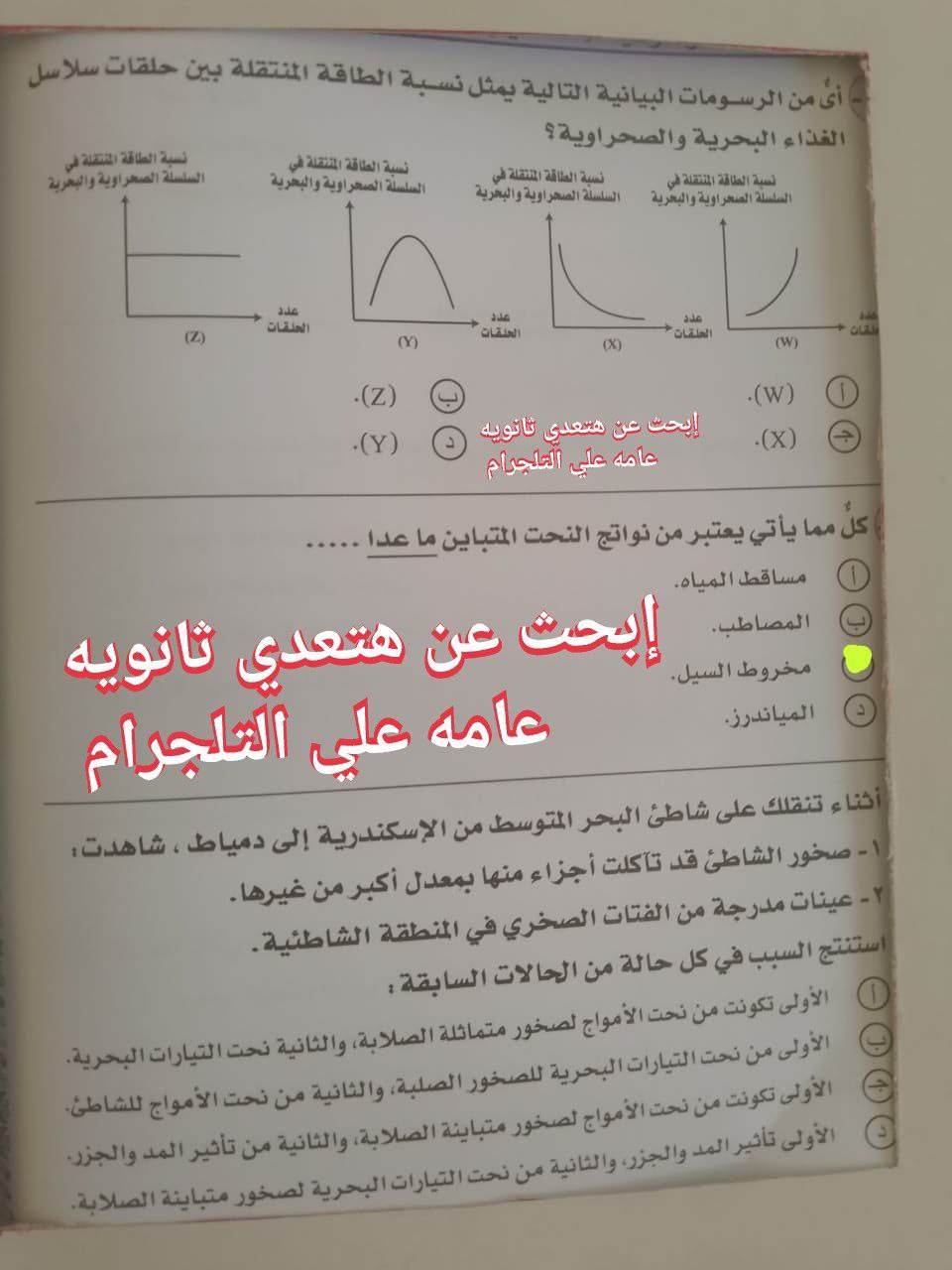 359677369_1217074452318156_2378315649821808340_n