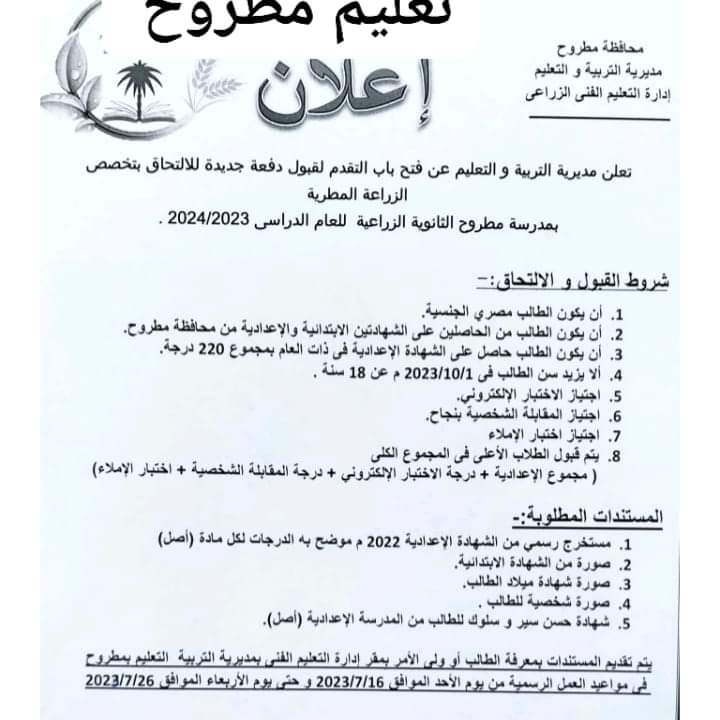 FB_IMG_1689153797787