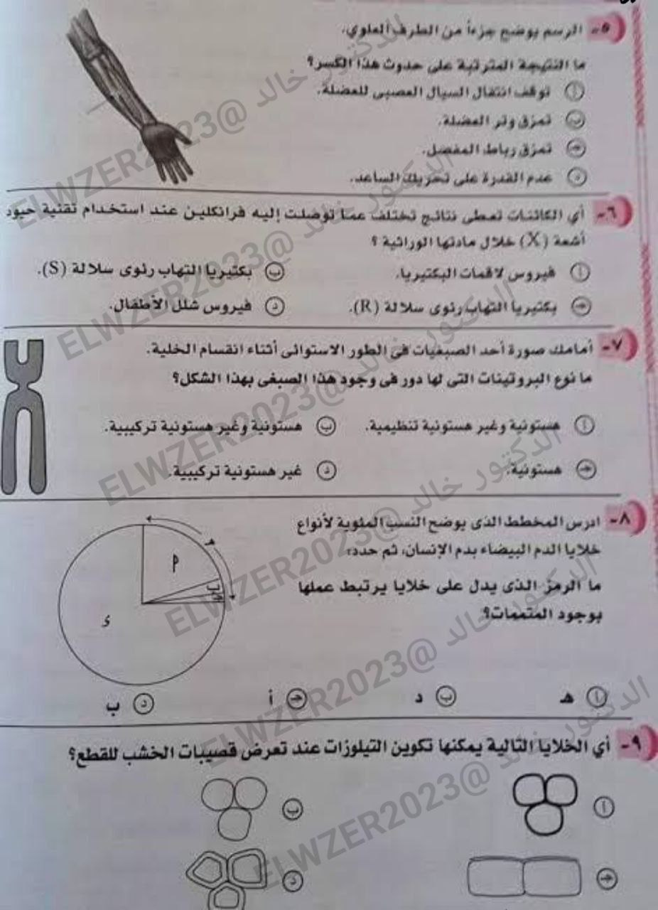 IMG_20230713_092850_283