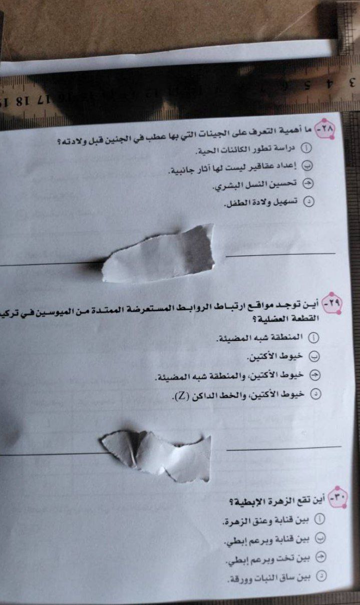 IMG_20230713_092850_454