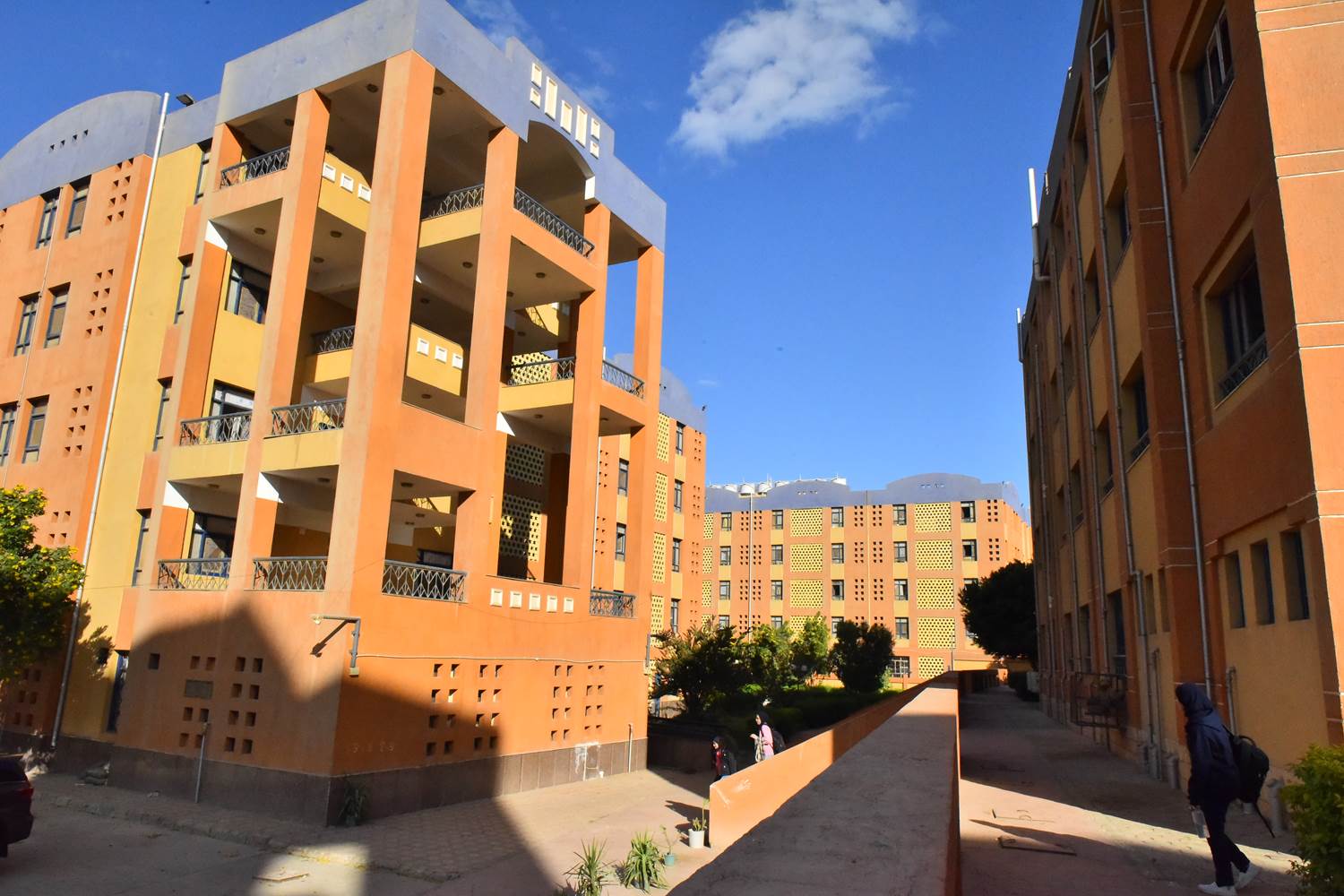 414223661_746484897513816_5532578650673286576_n