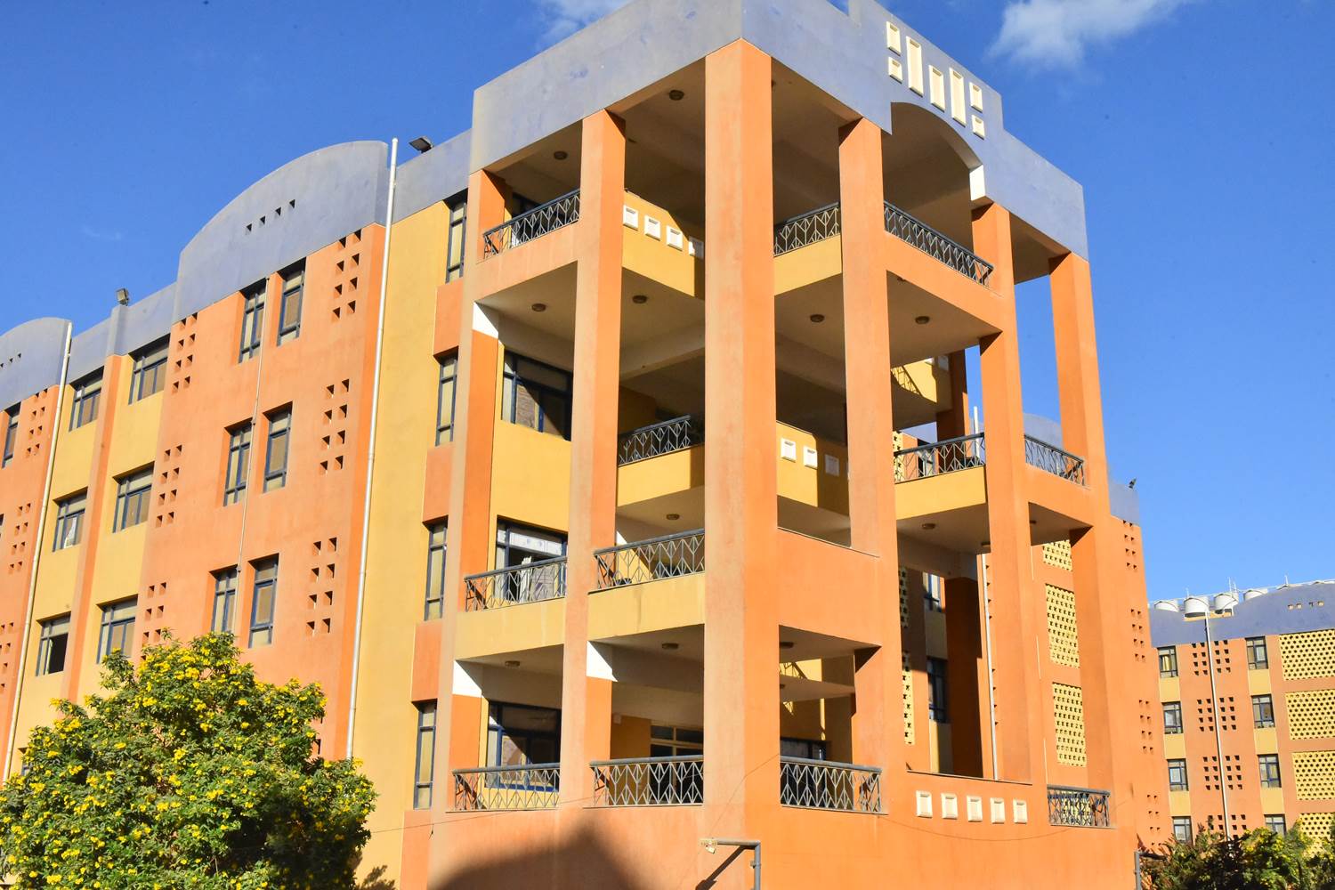 414331093_746484924180480_6364579604412541839_n