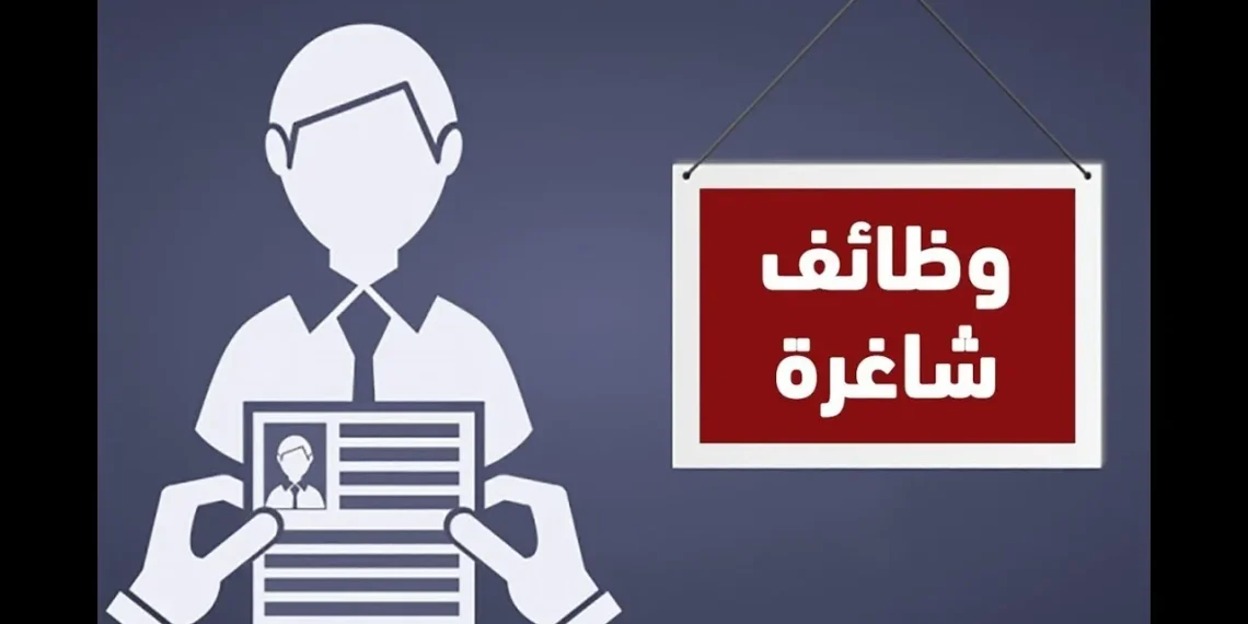 وظائف وزارة العمل 2024