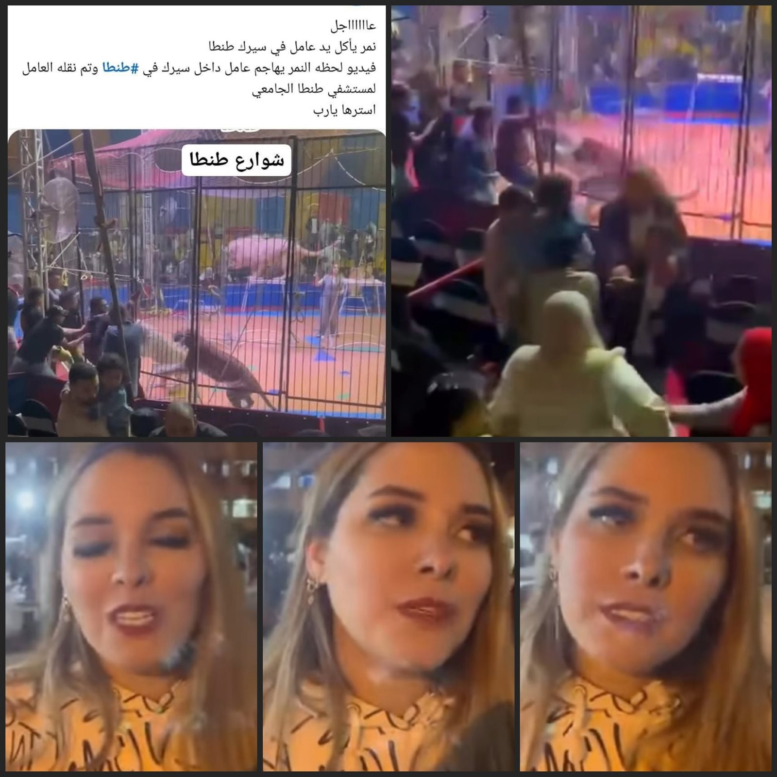 حادث سيرك طنطا