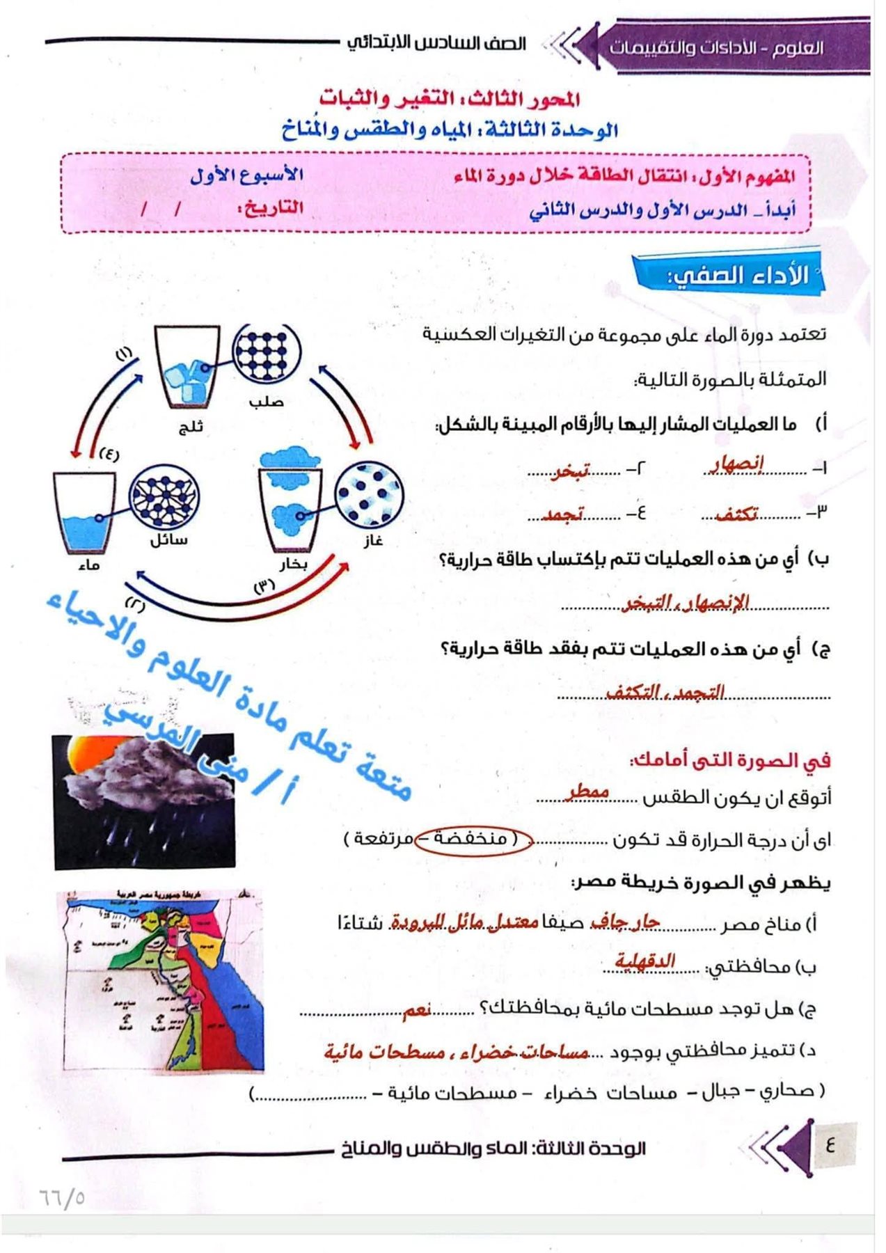 إجابة تقييم الأسبوع الأول علوم لسادسه ابتدائي ترم ثاني 2026