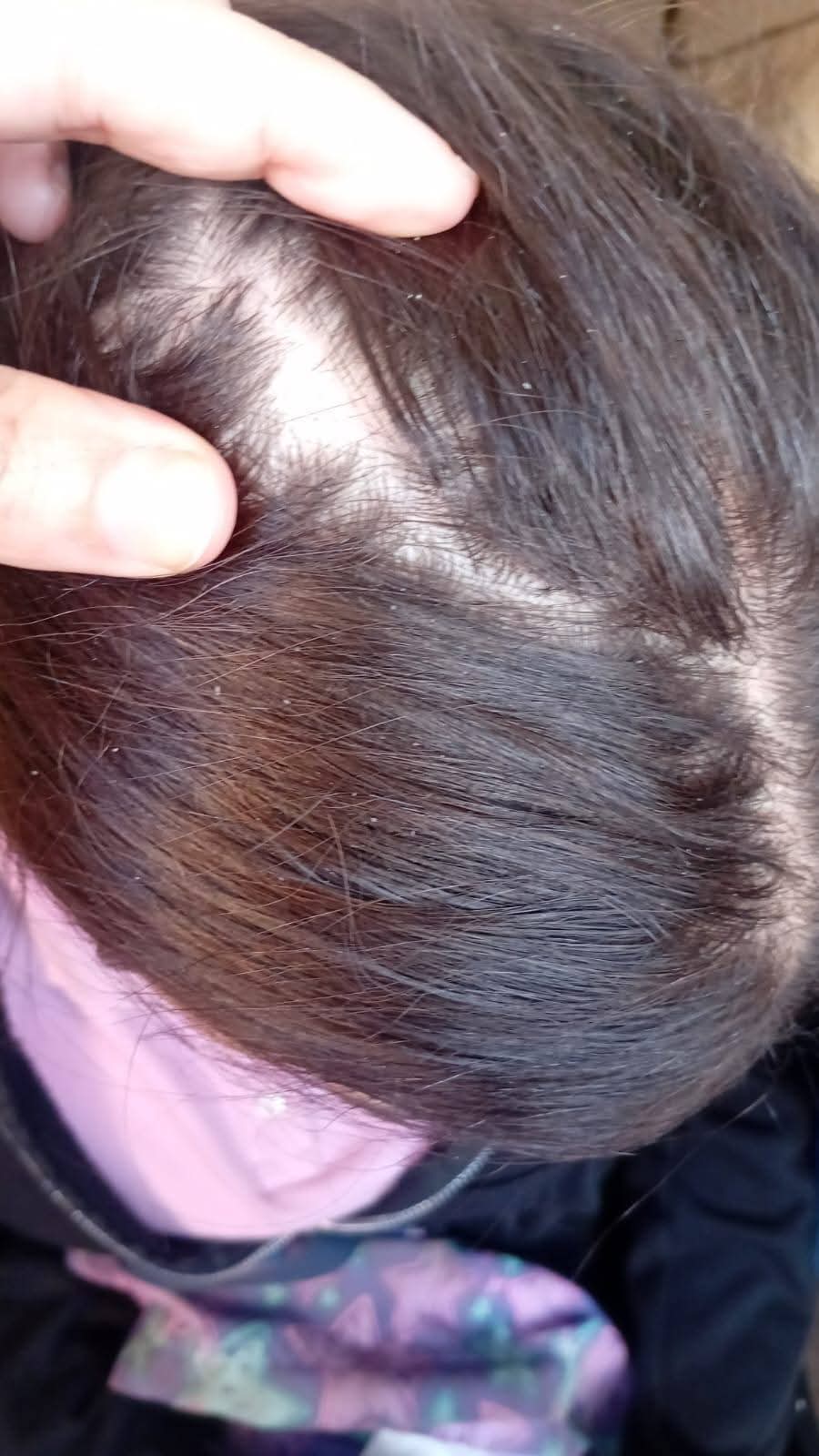 قطعت شعرها.. تفاصيل واقعة مدرسة السادات للغات بالعمرانية