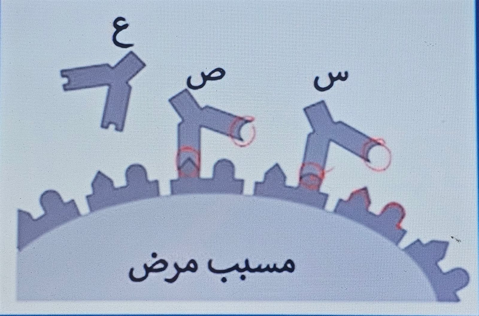 مستشار الأحياء الأسبق يكشف عن إجابة سؤالين خطأ بالنموذج العاشر بقناة مدرستنا3