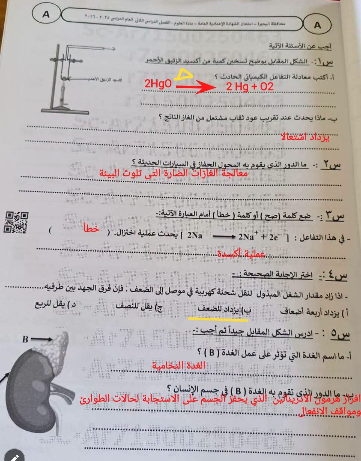 نموذج إجابة امتحان العلوم محافظة البحيرة الترم التاني 2026