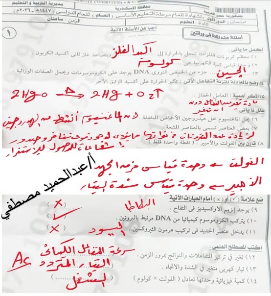 إجابة امتحان علوم تالته اعدادي 2026 الاسكندرية الترم الثاني