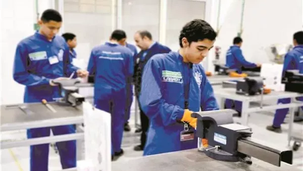 تنسيق الدبلومات الفنية