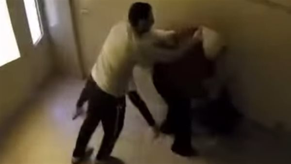 فيديو سيدات المنصورة