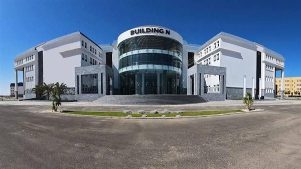 جامعة سيناء