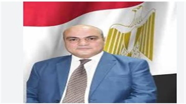 المهندس رائد هيكل