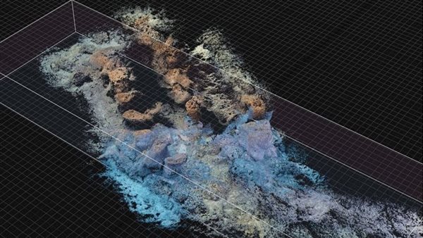 جانب من الحدث 