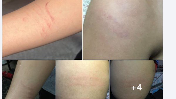 واقعة طالب مدرسة