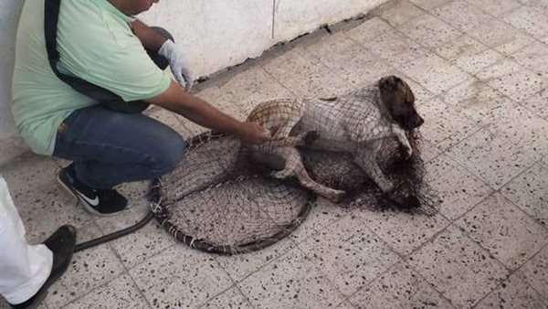 جانب من الحدث