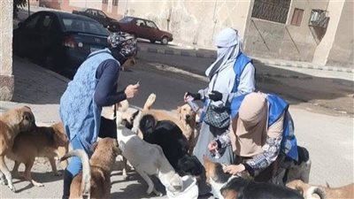 جانب من الحدث    